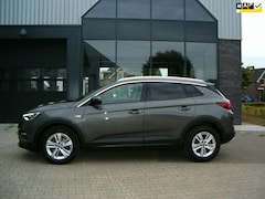 Opel Grandland X - 1.2 Turbo Business Elegance + camera + navigatie