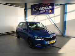 Skoda Fabia - 1.0 TSI Business Edition - N.A.P. Airco, Cruise, Carplay