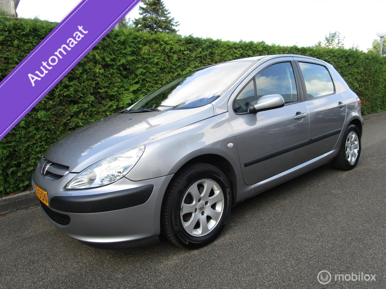 Peugeot 307 - 1.6 16V XT Pack AUTOMAAT - 129.000 KM ! - AutoWereld.nl
