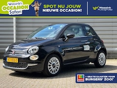Fiat 500 - Turbo 80pk Dualogic Automaat I Lounge I U Connect Safari Actie |