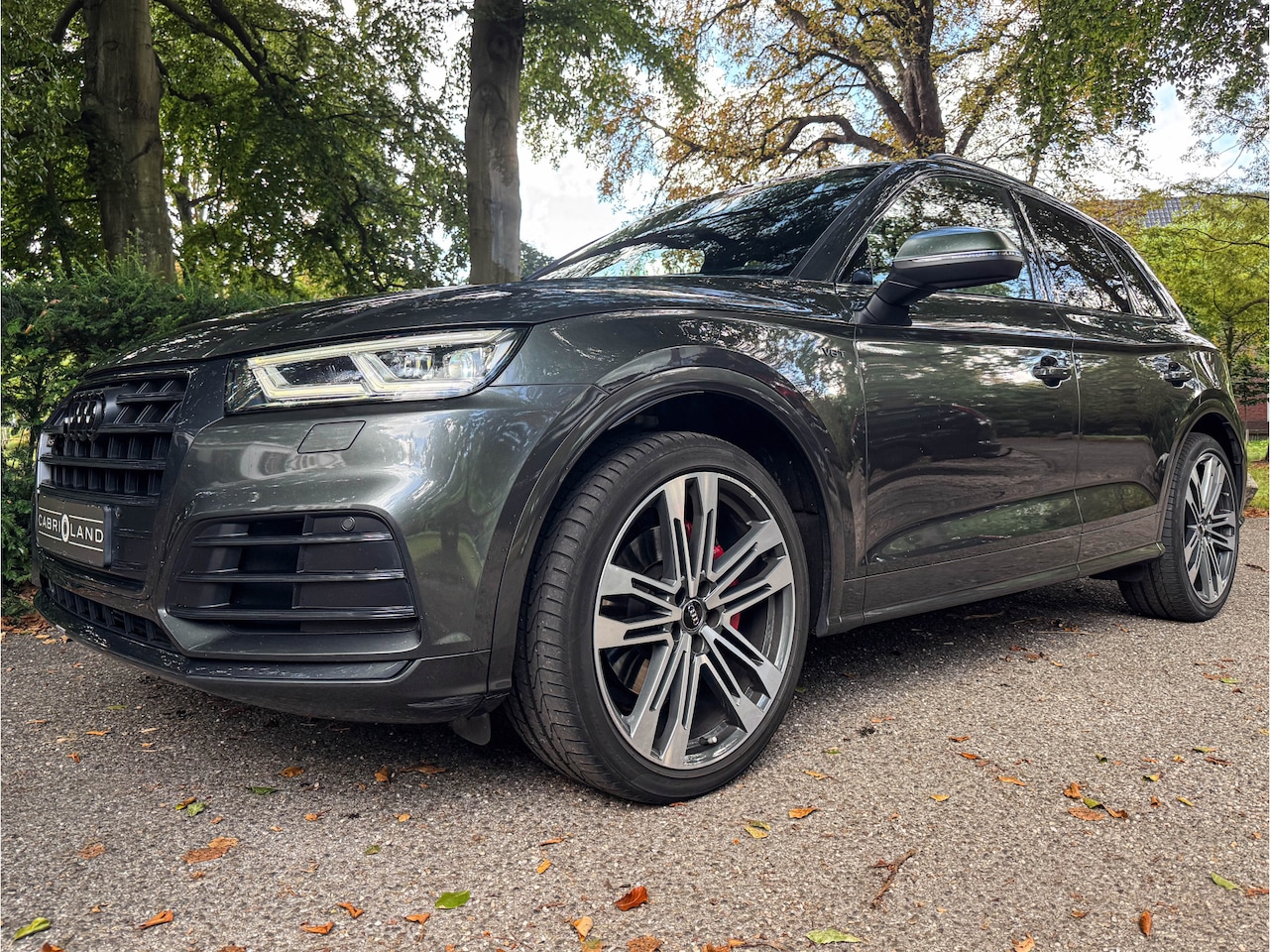 Audi SQ5 - 3.0 TFSI quattro Pro Line Plus - AutoWereld.nl