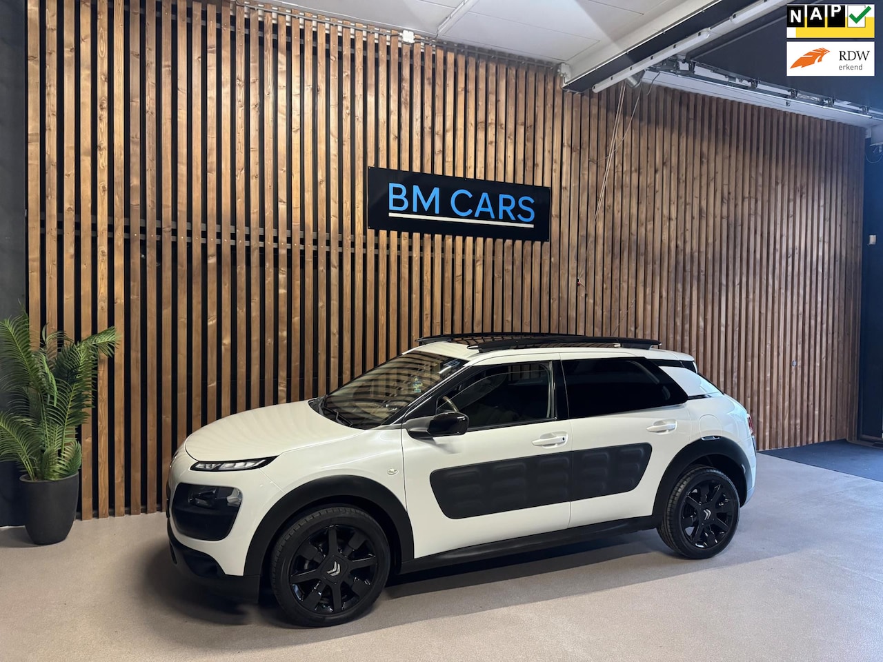 Citroën C4 Cactus - 1.2 PureTech Shine AUTOMAAT, PANODAK, PARELMOER - AutoWereld.nl