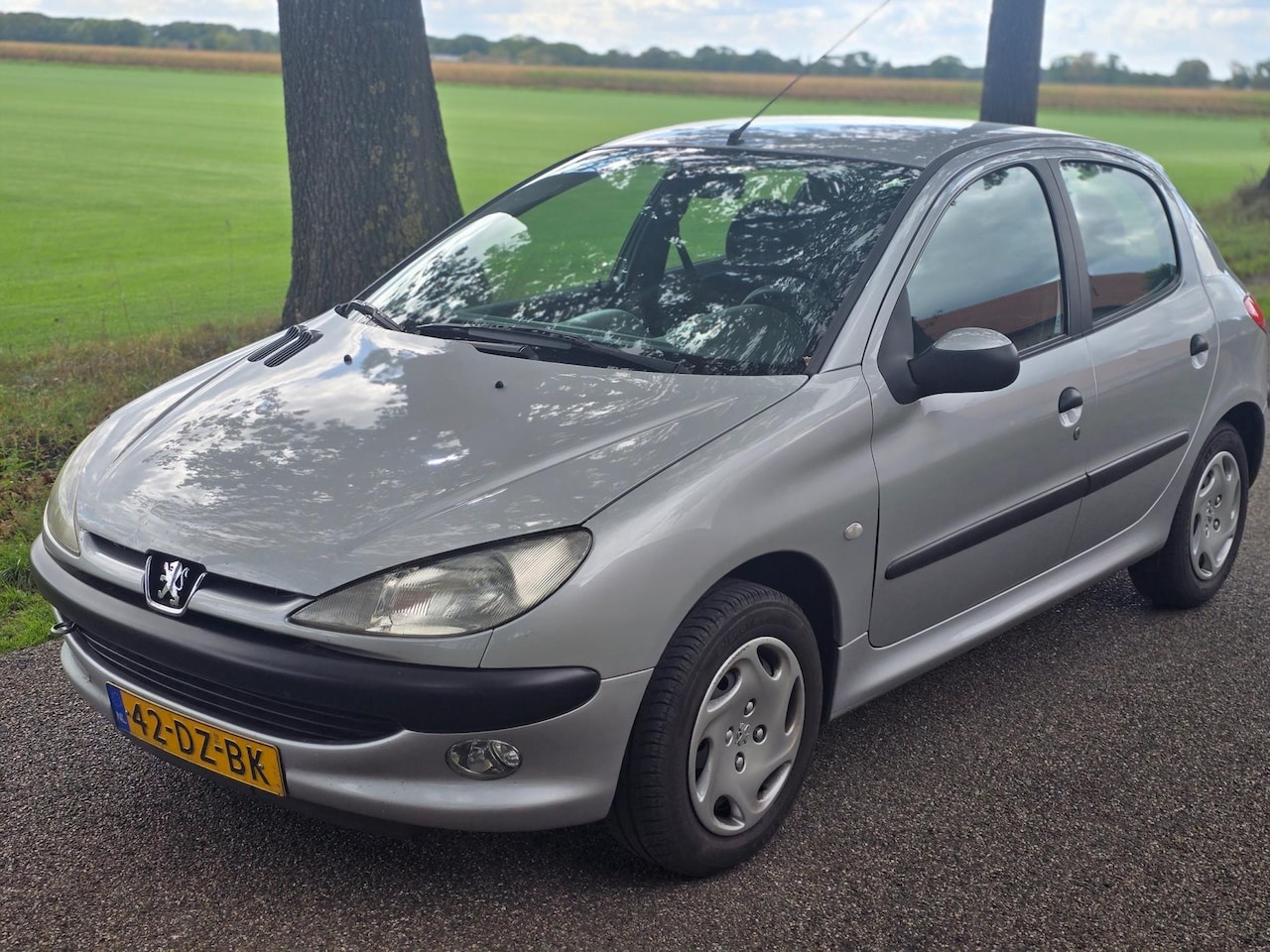 Peugeot 206 - 1.4 Gentry AIRCO APK 5DRS - AutoWereld.nl