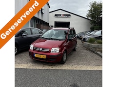 Fiat Panda - 1.2 Dynamic Keurig en goed rijdende Panda met o.a Elektr ramen. Apk bij aflevering