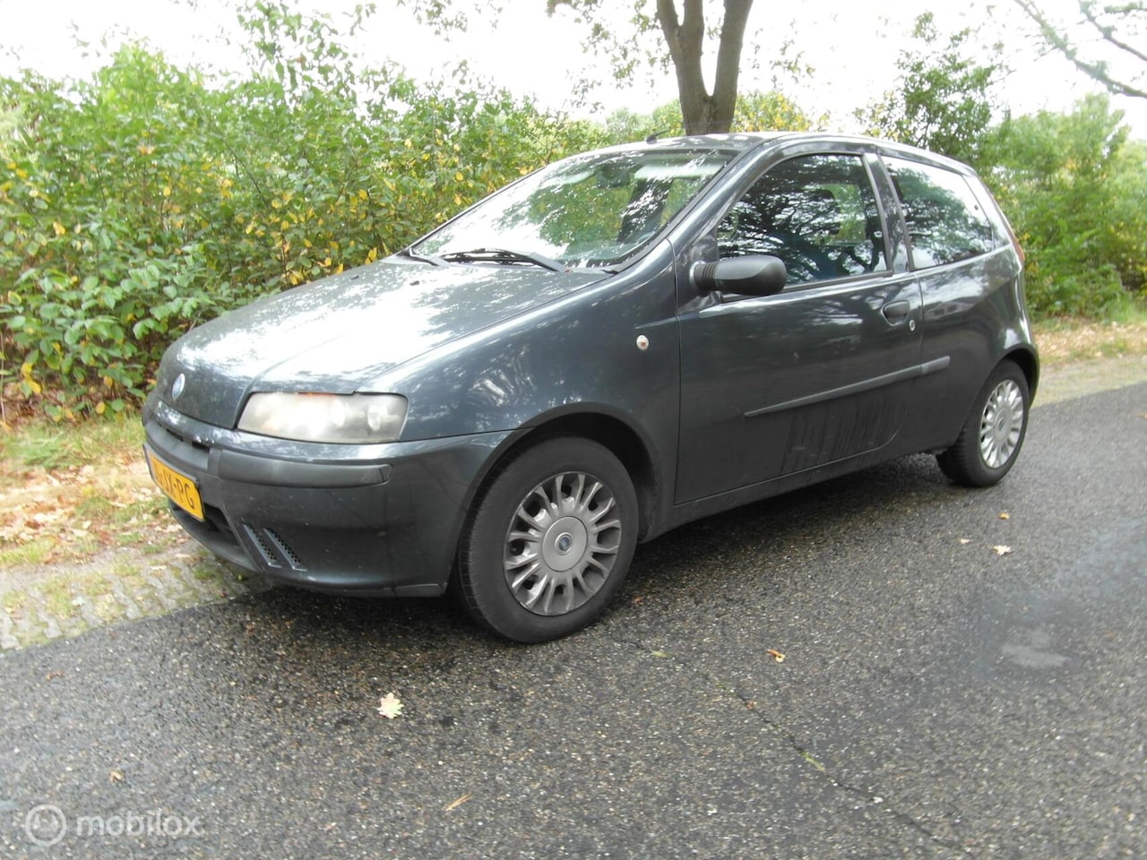 Fiat Punto - 1.2-16V Dynamic 1.2-16V Dynamic - AutoWereld.nl