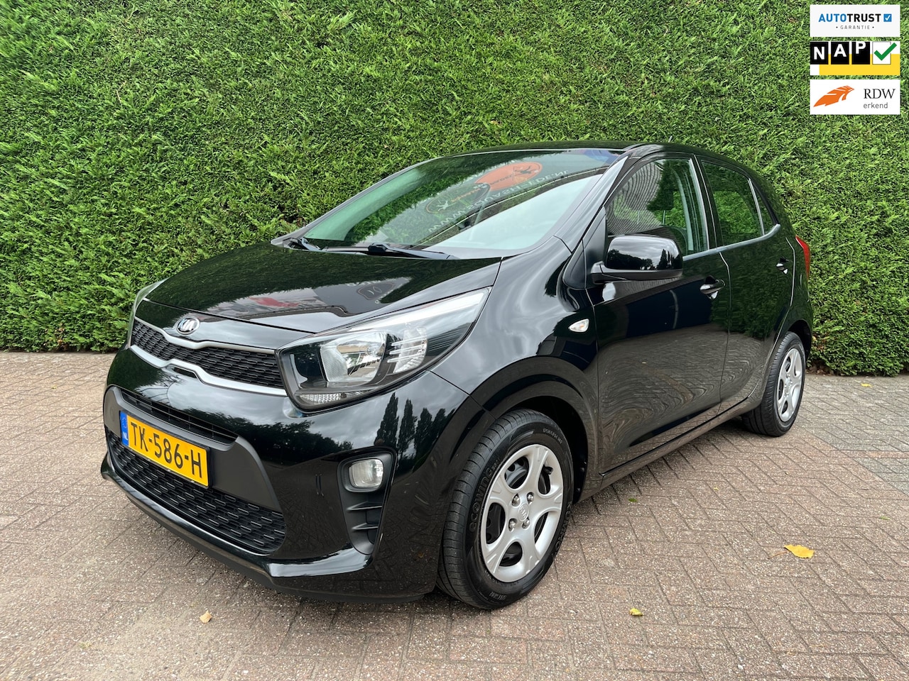 Kia Picanto - 1.0 CVVT EconomyPlusLine Airco, 5deurs, Eerste eigenaar, NAP, - AutoWereld.nl