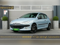 Peugeot 206 - 1.4 XS |DB-riem vervangen