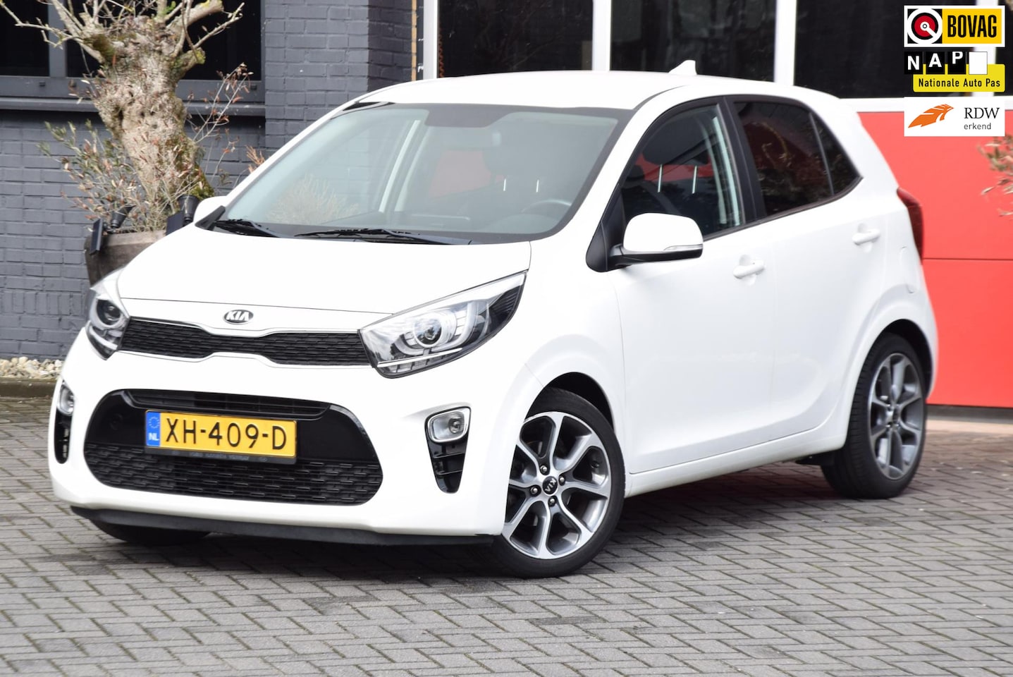 Kia Picanto - 1.0 CVVT Design Edition 2019 Navigator Navigatie 5 Deur Airco Cruise control Carplay - AutoWereld.nl
