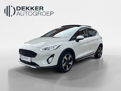Ford Fiesta - 1.0 EcoBoost Active Winterpakket Panoramadak