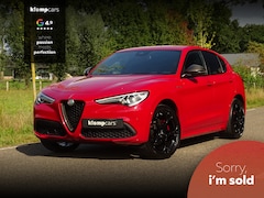 Alfa Romeo Stelvio - 2.0 T AWD Veloce Ti | BTW | Carbon | Trekhk | H+K | Leren Dash | 21 inch