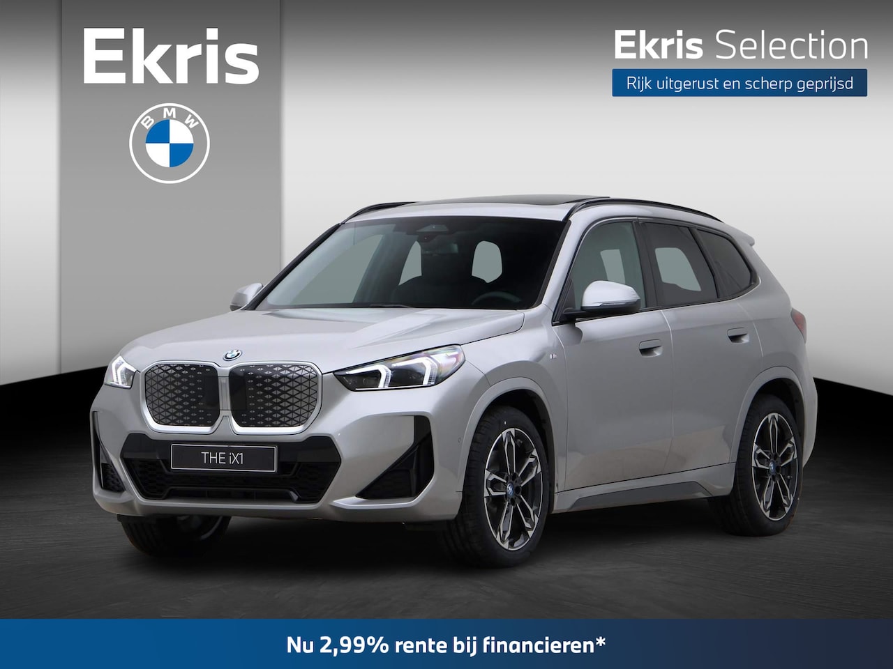 BMW iX1 - xDrive30 67 kWh | M-Sportpakket | Trekhaak | 19inch | Ekris Selection - AutoWereld.nl