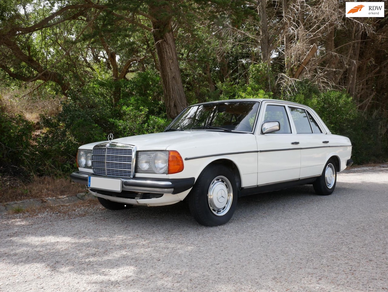 Mercedes-Benz 200-280 (W123) - 240 D ** AUTOMAAT ** - AutoWereld.nl