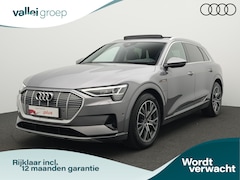 Audi e-tron - 50 quattro Business edition Plus 71 kWh 313 pk | Panoramadak | Leder/alcantara | Elektr. v