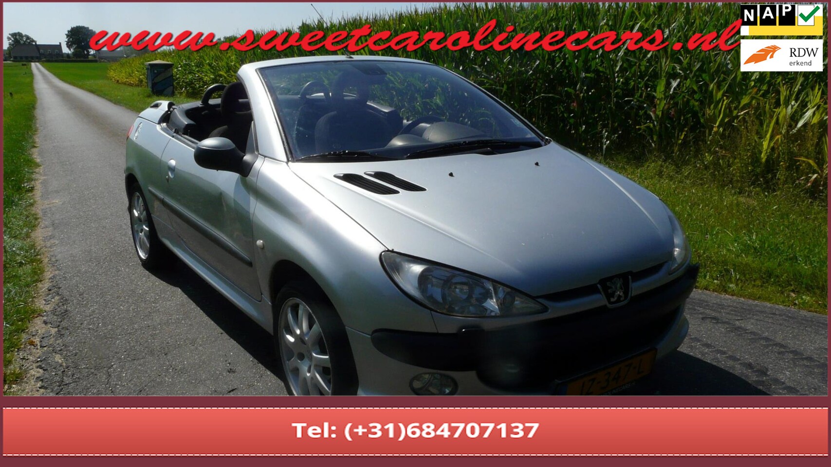 Peugeot 206 CC - 2.0-16V 2.0-16V,Airco,Elec.pakket,Lmv's! - AutoWereld.nl