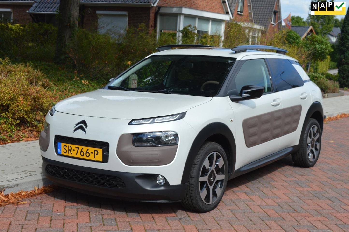 Citroën C4 Cactus - 1.2 Shine/panorama/camera - AutoWereld.nl