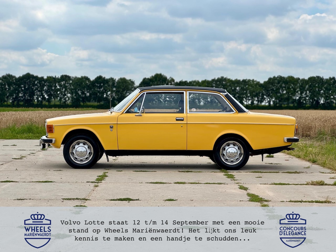 Volvo 142 - De Luxe gerestaureerd in prachtige kleurstelling - AutoWereld.nl