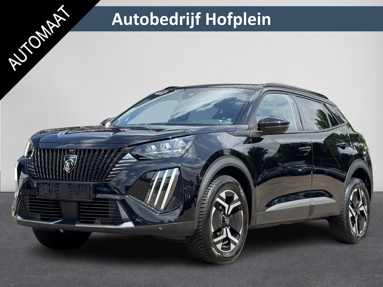 Peugeot 2008 - 1.2 PureTech GT 130PK | Automaat | Navigatie | LM-Velgen | Airco-Ecc | Camera+PDC | LED |( - AutoWereld.nl