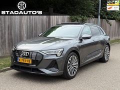 Audi e-tron - 55 quattro S edition 95 kWh Pano|360|NAP