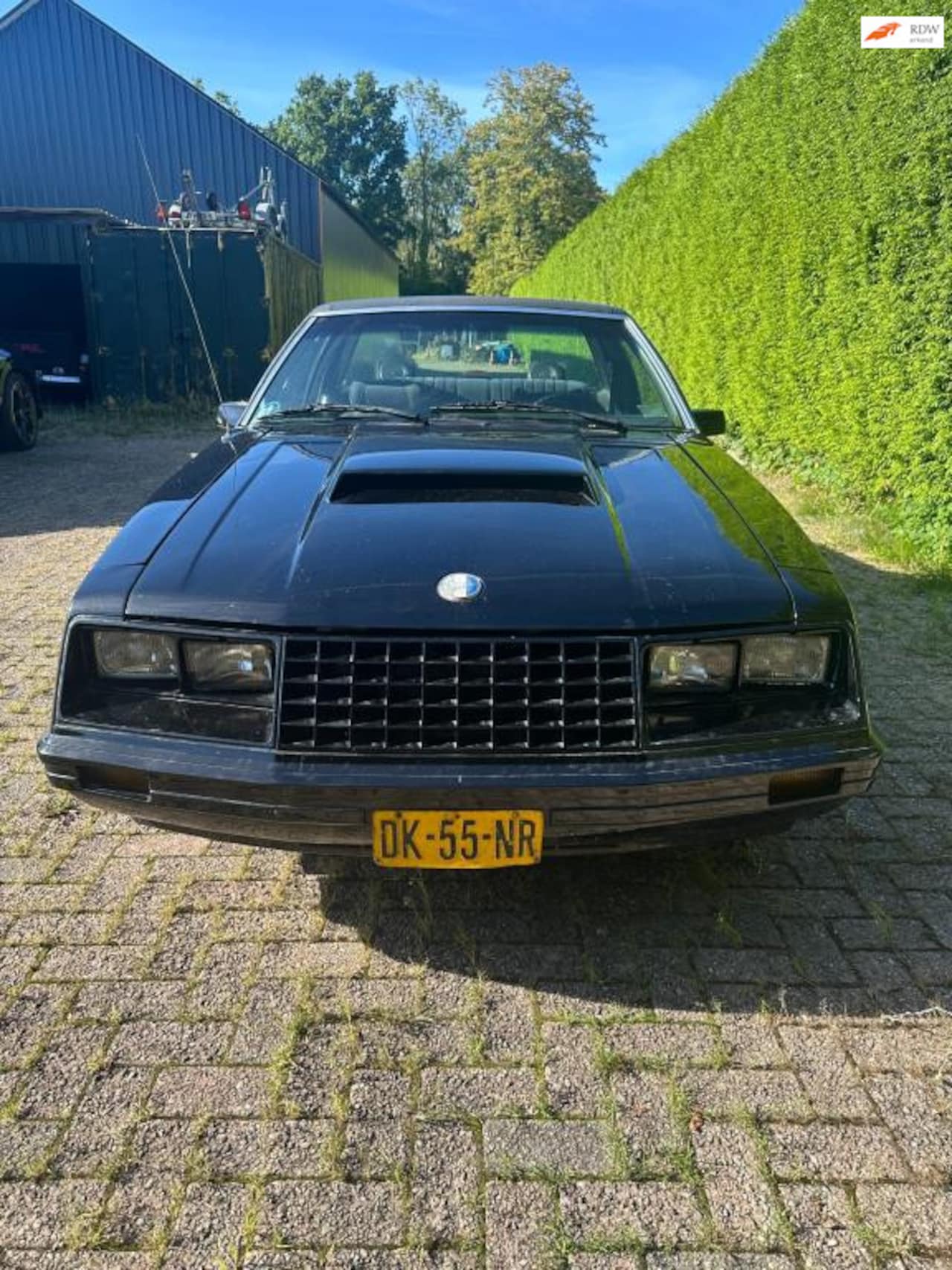 Ford Mustang - USA Foxbody 1979 8-cil automatic - AutoWereld.nl