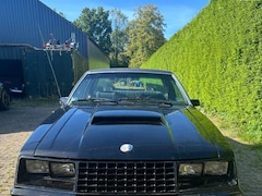 Ford Mustang - USA Foxbody 1979 8-cil automatic