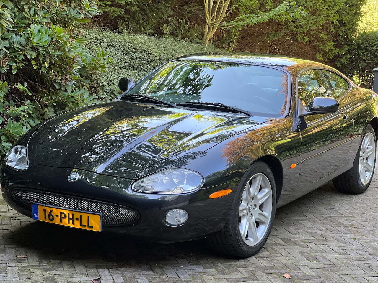 JAGUAR XK8 COUPE