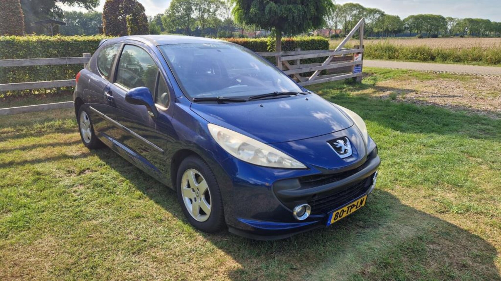 Peugeot 207 - 1.4L Apk airco handels prijsje - AutoWereld.nl