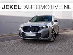 BMW X1 - sDrive20i M-Sport, Panoramadak, 19" LM velgen, enz