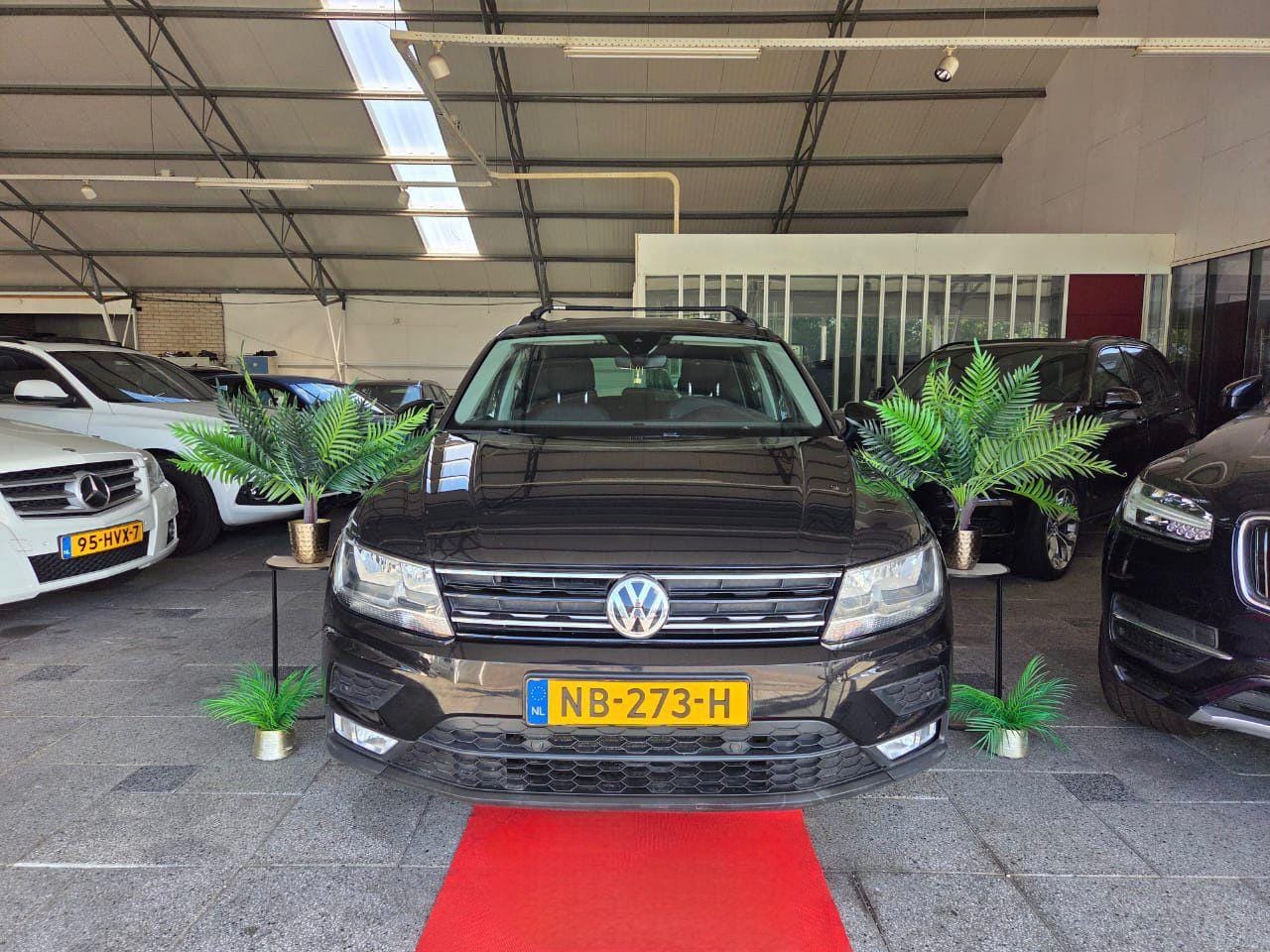 Volkswagen Tiguan - 2.0 TDI NEW MODEL 2017 met PANORAMA! - AutoWereld.nl
