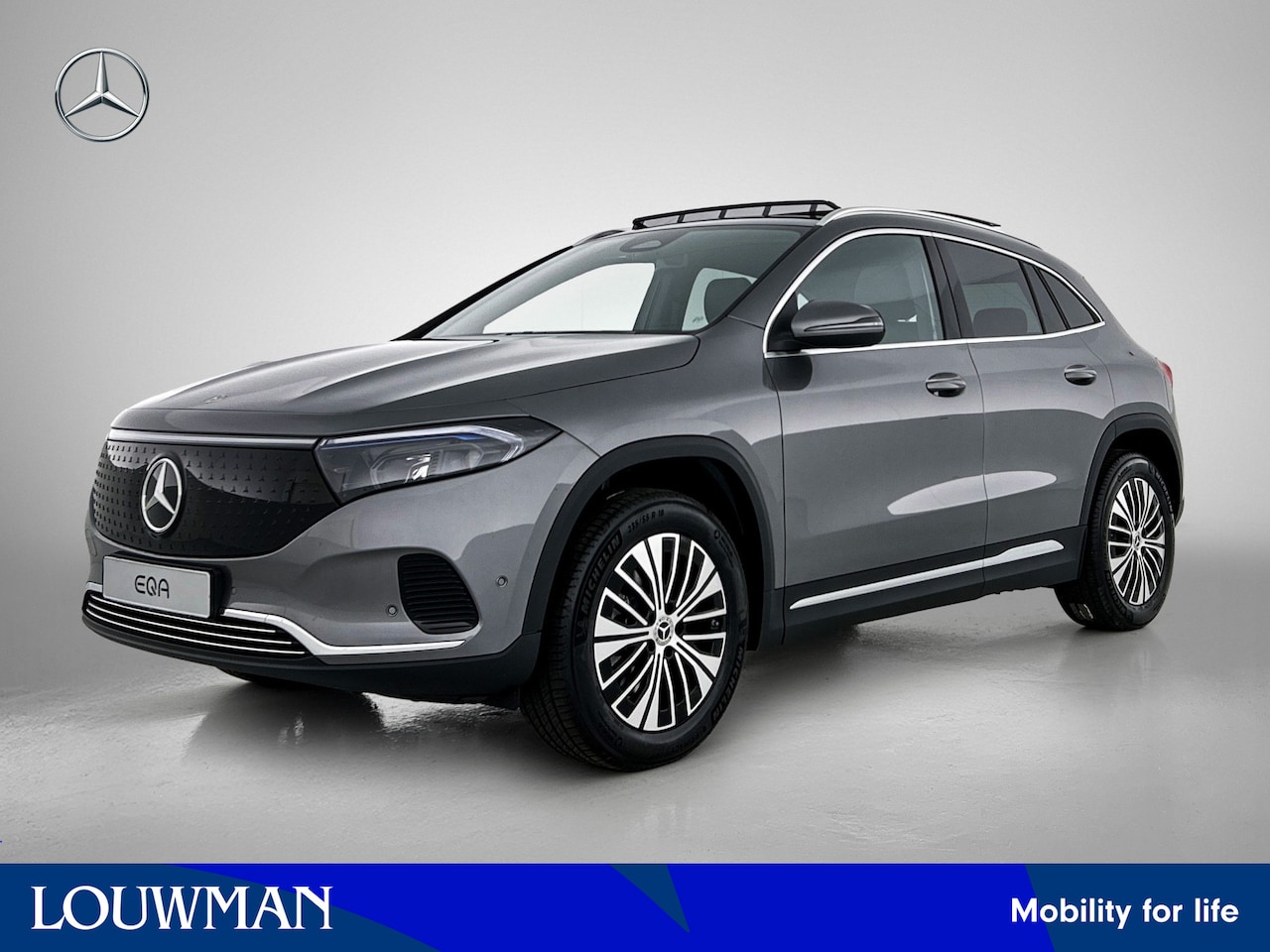 Mercedes-Benz EQA - 250+ Business Solution Luxury 71 kWh | Winter pakket | Sierdelen lindenhout zwart | Warmte - AutoWereld.nl