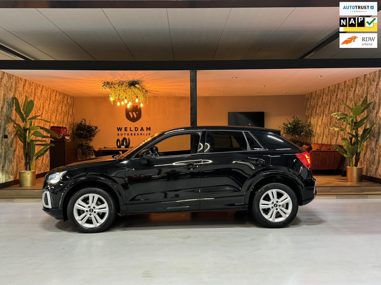 Audi Q2 - 35 TFSI Pro Line Garantie Carplay PDC Cruise Keyless Clima Navi Dab Led Rijklaar - AutoWereld.nl