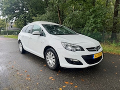 Opel Astra Sports Tourer - 1.6 CDTi ecoFLEX Design Edition VAN | Camera