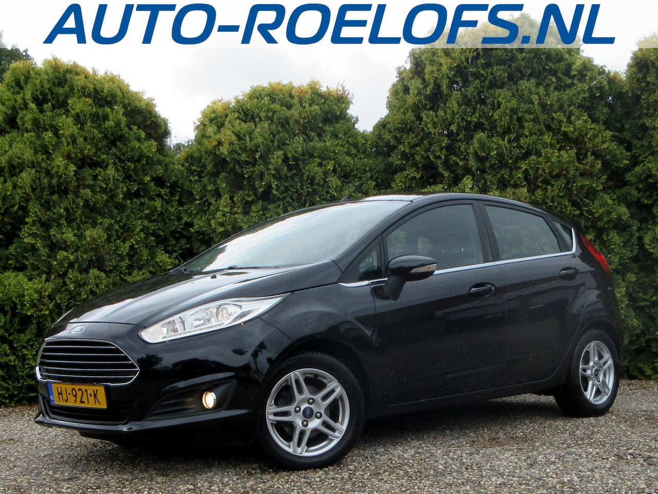 Ford Fiesta - 1.0 EcoBoost Hot Hatch*Ecc*Pdc* - AutoWereld.nl