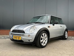 MINI One - 1.6 Salt