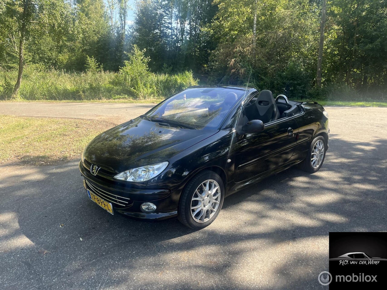 Peugeot 206 CC - 2.0-16V 2.0-16V - AutoWereld.nl