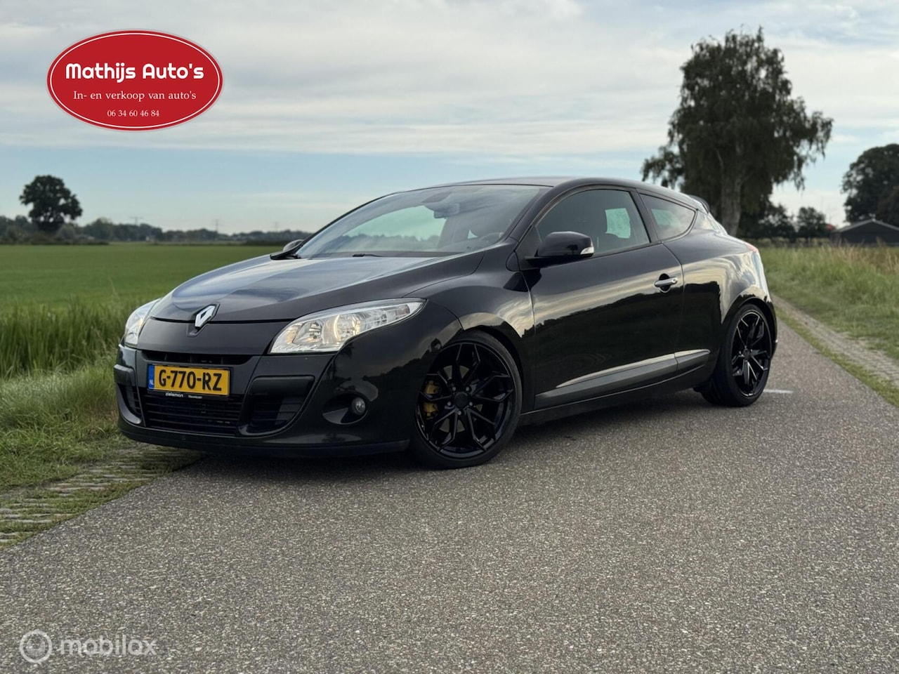 Renault Mégane Coupé - 2.0 TCe Dynamique 2.0 TCe Dynamique - AutoWereld.nl