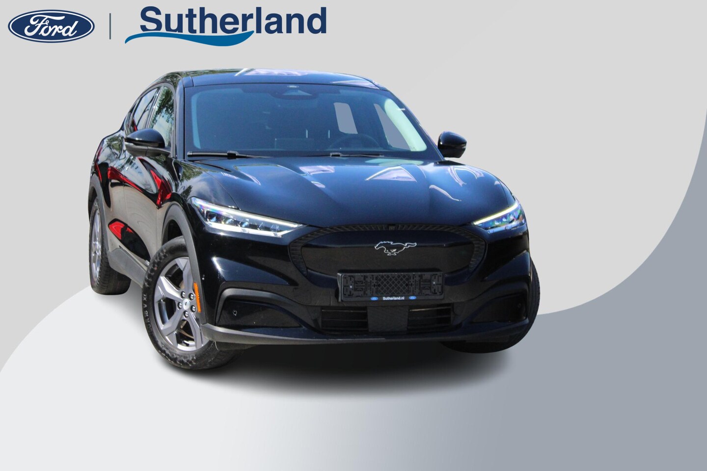 Ford Mustang Mach-E - RWD 75 kWh 269pk | Technology Pack + | Adaptieve cruise | Winterpack | - AutoWereld.nl