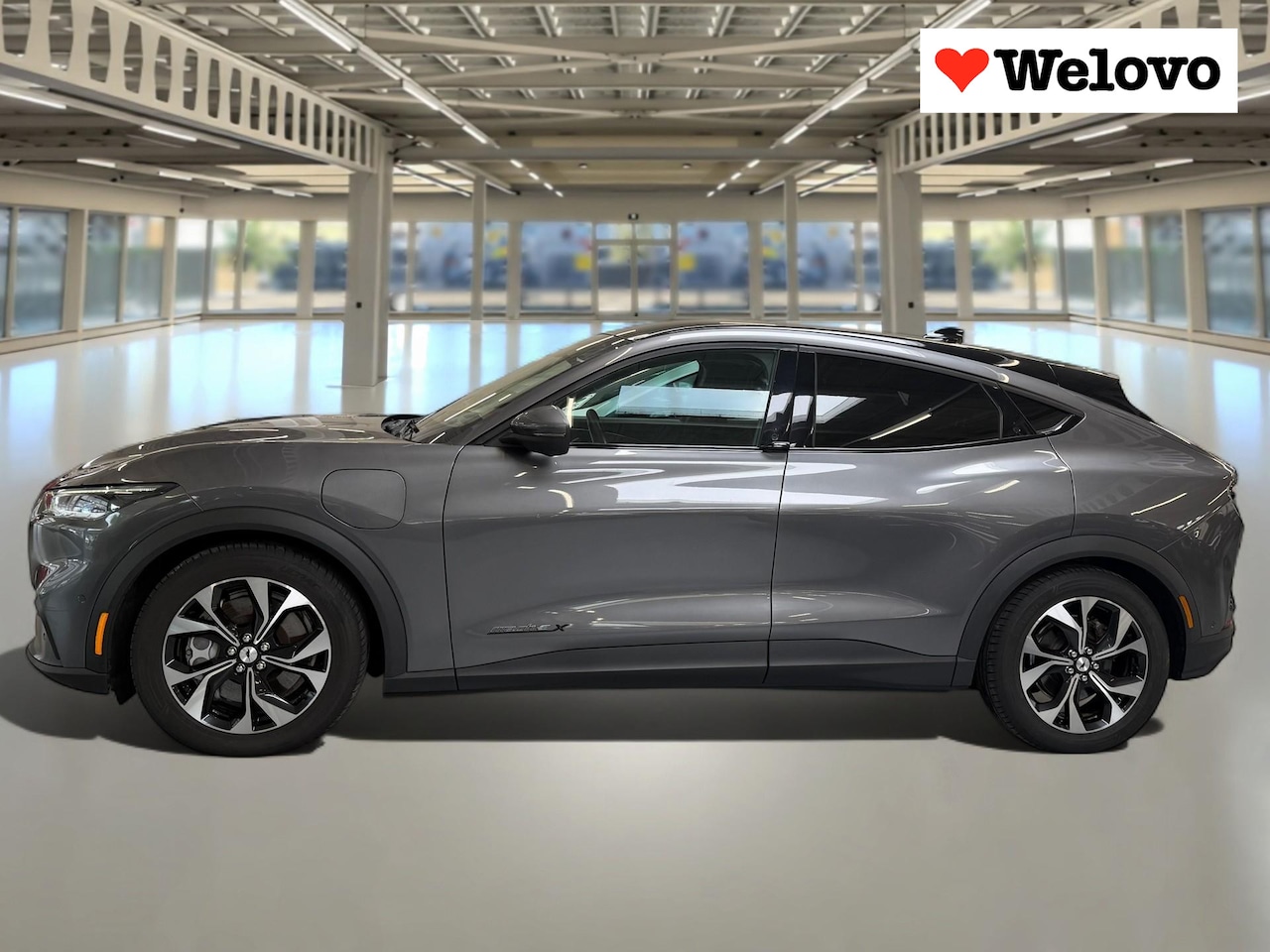 Ford Mustang Mach-E - Extended RWD 98 kWh Grote Accu ! 360 camera trekhaak - AutoWereld.nl