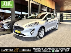 Ford Fiesta - 1.0 EcoBoost Titanium grijs/metallic
