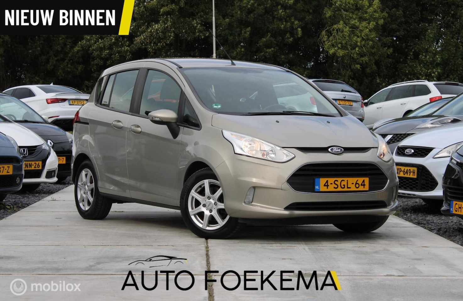 Ford B-Max - 1.0 EcoBoost Trend TREKHAAK AIRCO LMV - AutoWereld.nl