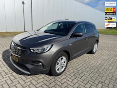 Opel Grandland X - 1.2 Turbo Business Executive, trekhaak
