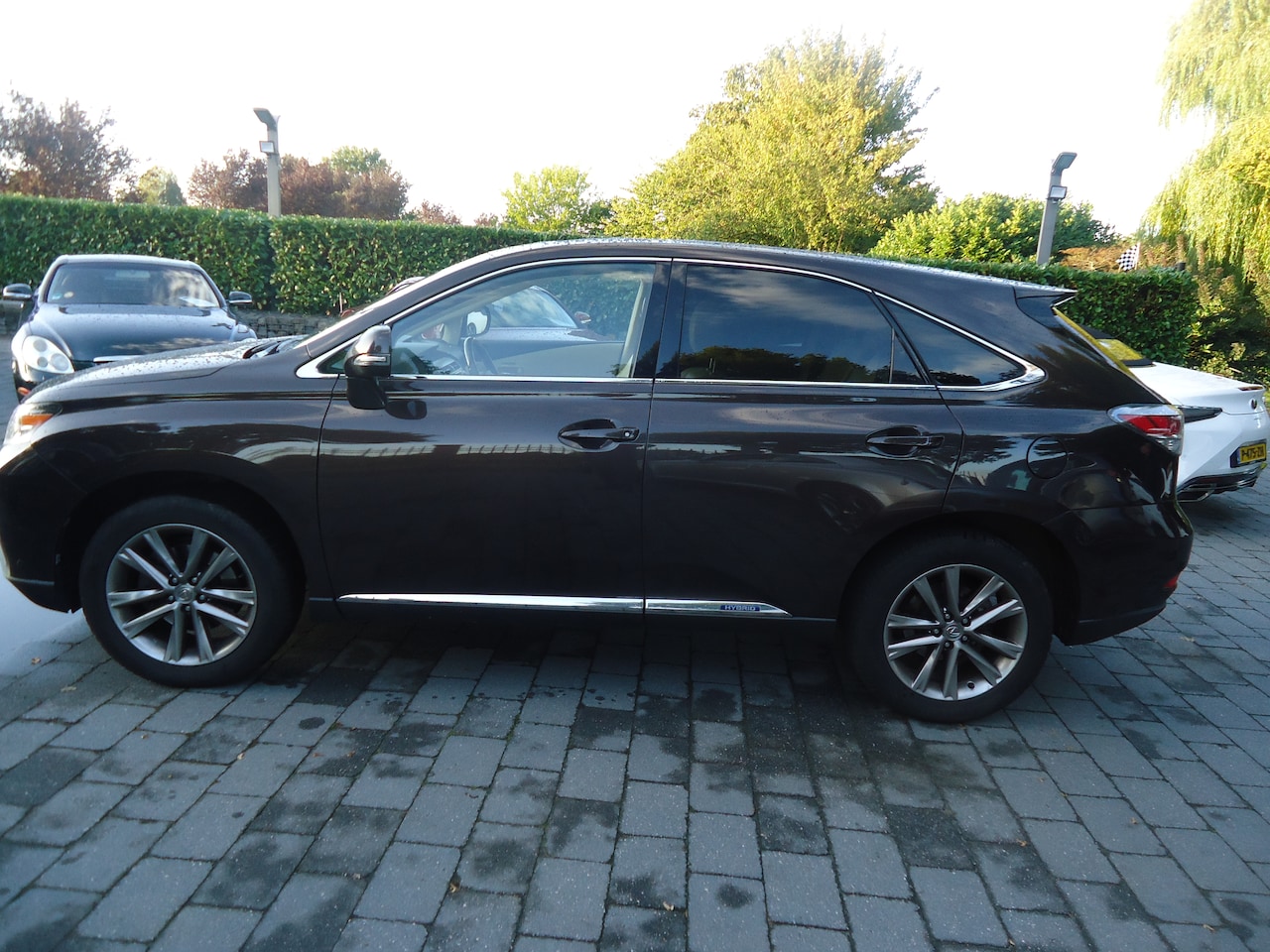 Lexus RX - 450h 4WD President Line superauto met alle denkbare opties