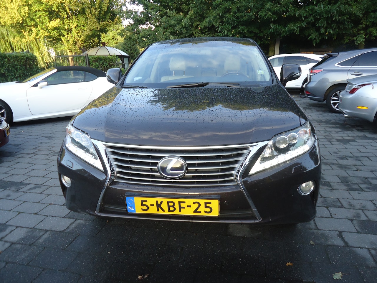 Lexus RX - 450h 4WD President Line superauto met alle denkbare opties