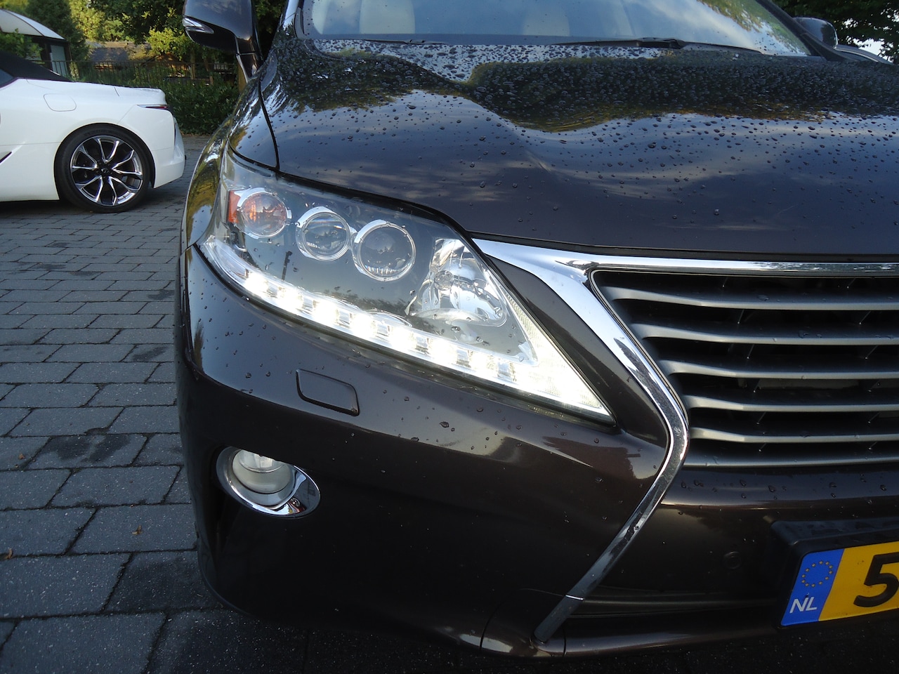Lexus RX - 450h 4WD President Line superauto met alle denkbare opties