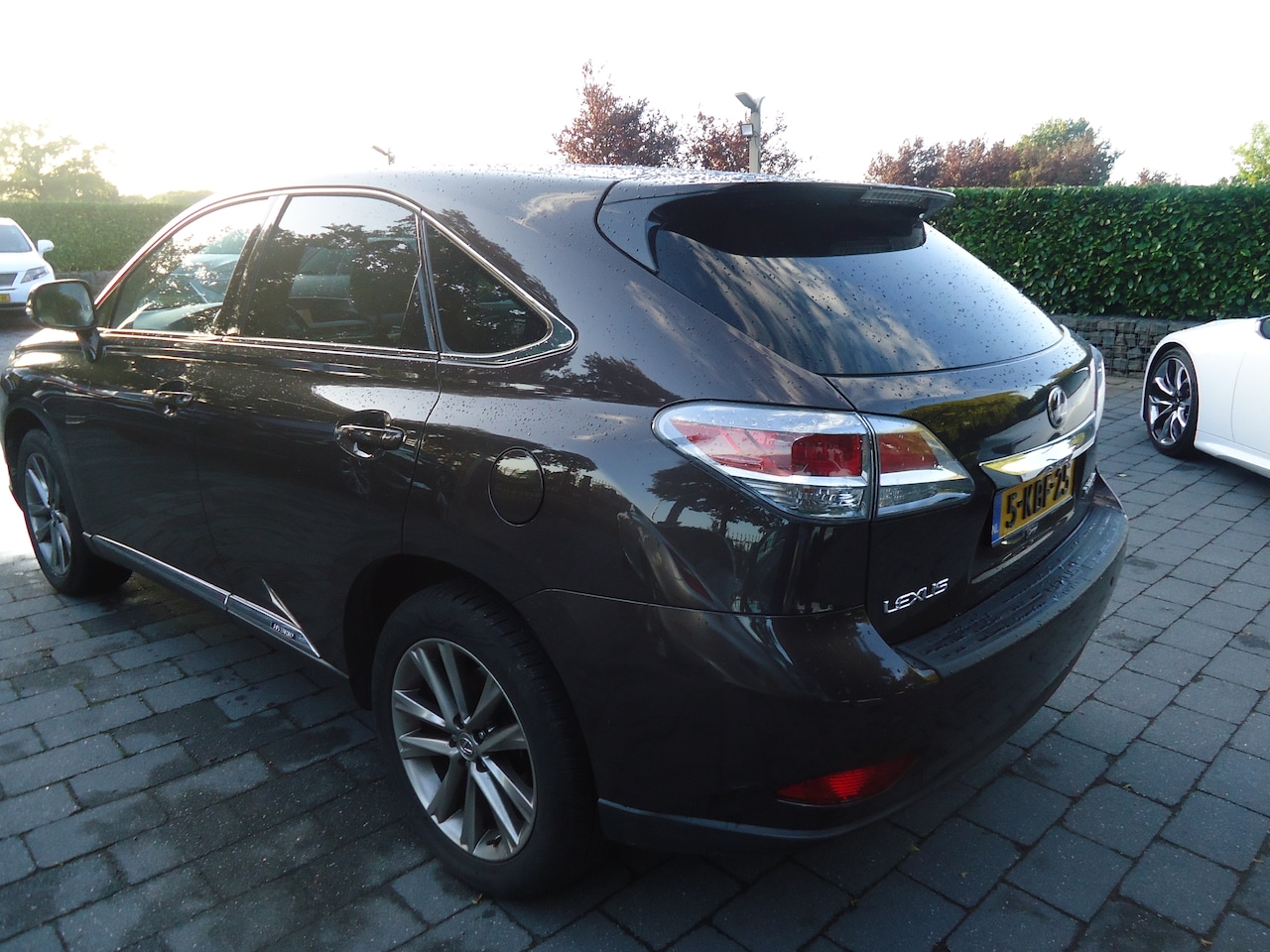 Lexus RX - 450h 4WD President Line superauto met alle denkbare opties