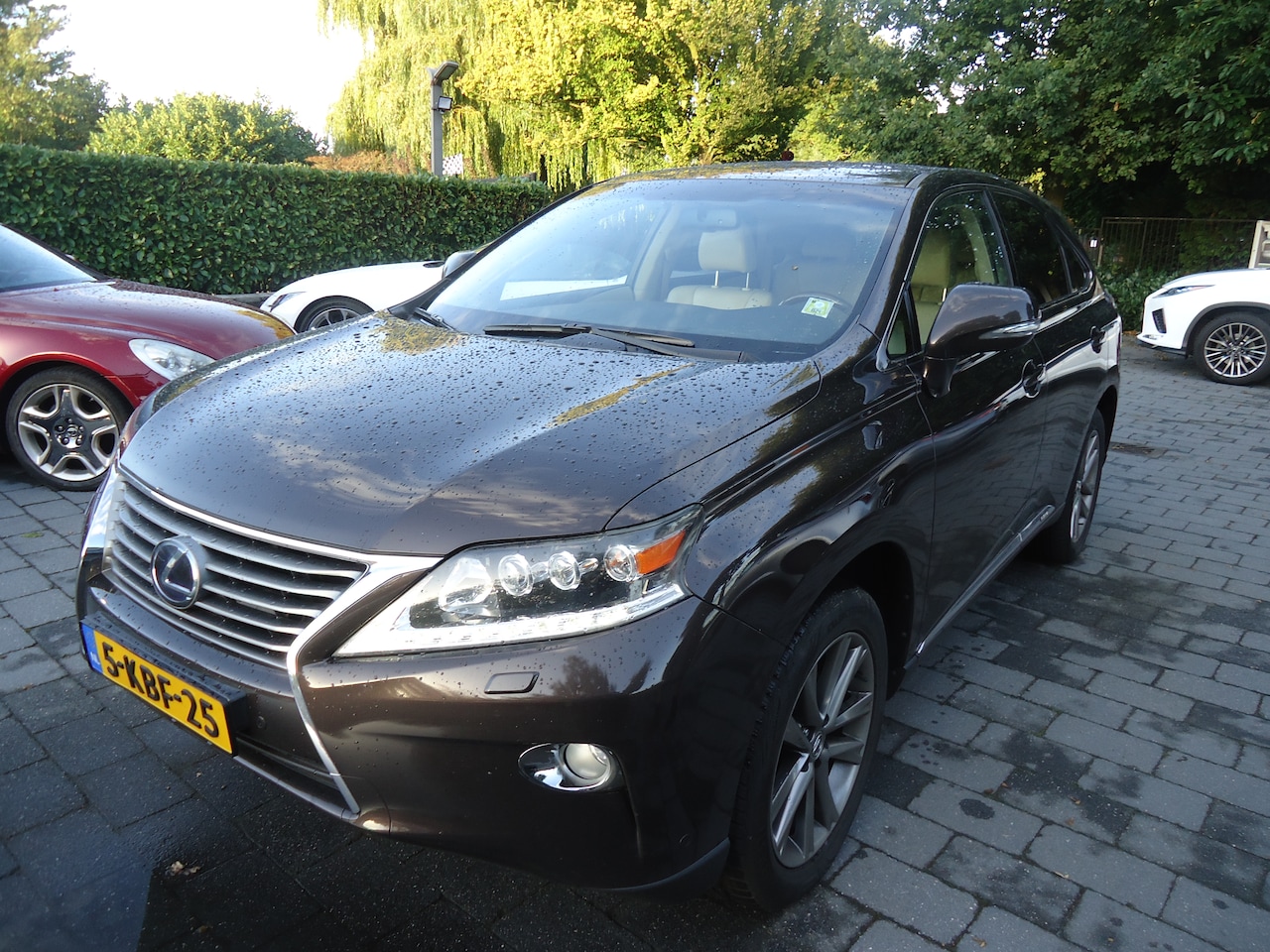 Lexus RX - 450h 4WD President Line superauto met alle denkbare opties