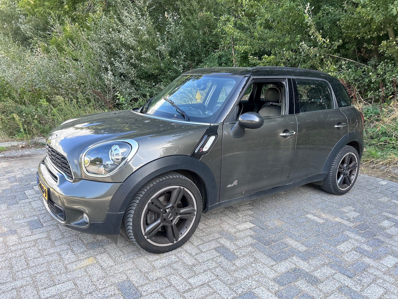 MINI Countryman - 1.6 Cooper S ALL4 Chili Mini 1.6 Cooper S ALL4 Chili - AutoWereld.nl