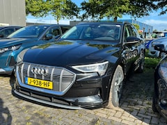 Audi e-tron - BWJ 2020 e-tron 50 313 PK quattro Launch edition plus 71 kWh NIEUW BINNEN