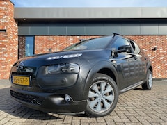 Citroën C4 Cactus - 1.6 BlueHDi Business Panoramadak Leer Trekhaak