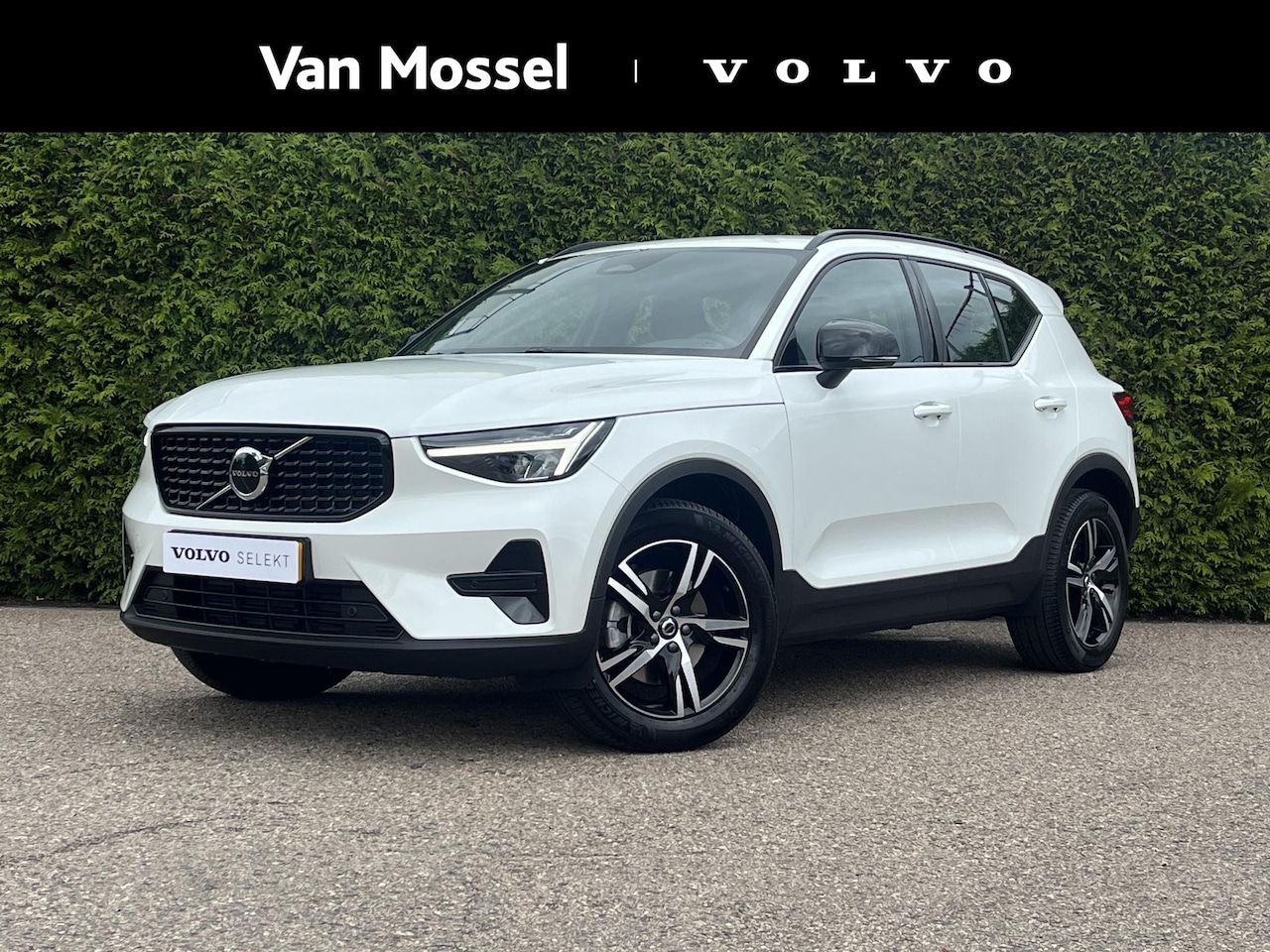 Volvo XC40 - B4 Plus Dark Trekhaak | Pilot Assist | Camera | Stuurverwarming | BLIS | H&K Audio | Keyle - AutoWereld.nl