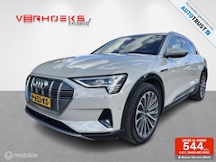 Audi e-tron - e-tron 55 quattro advanced Pro Line Plus 95 kWh/Leer/Pano/B&O/Memory